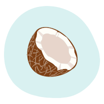 Coconut Peanut Butter